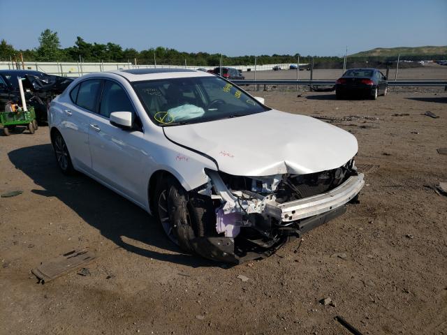 2019 acura tlx