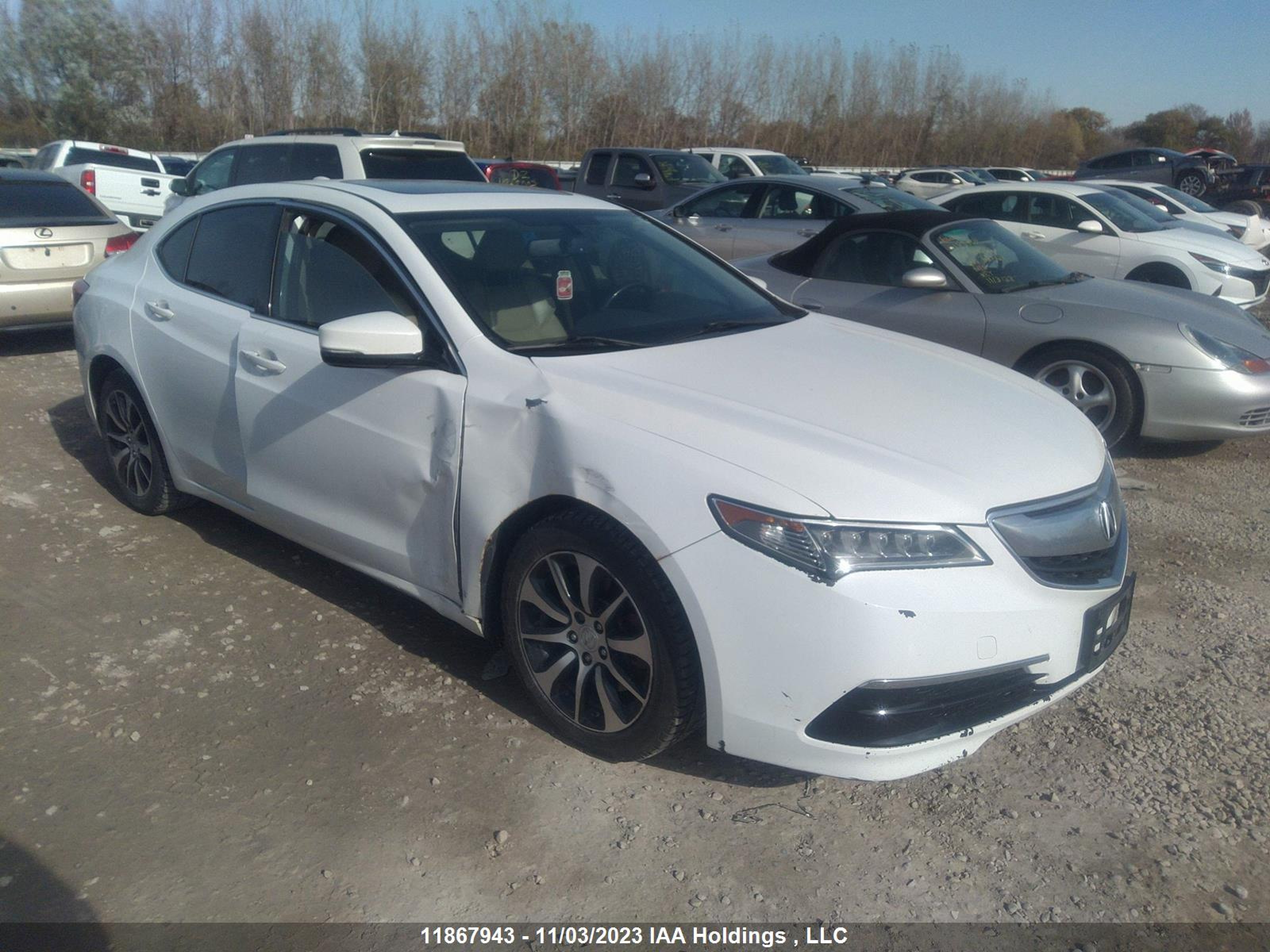 2015 acura tlx