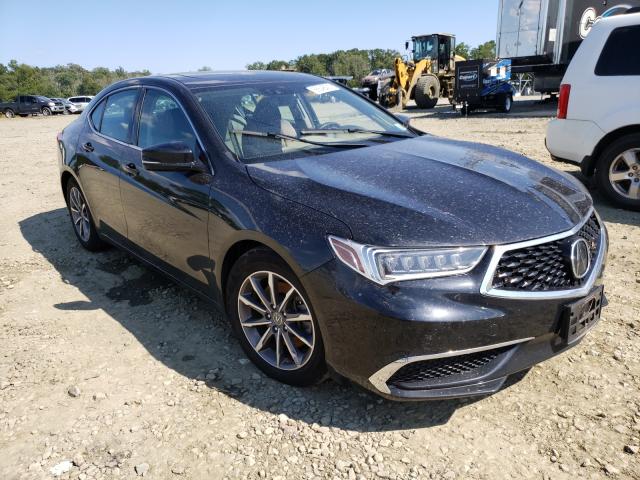 2019 acura tlx techno