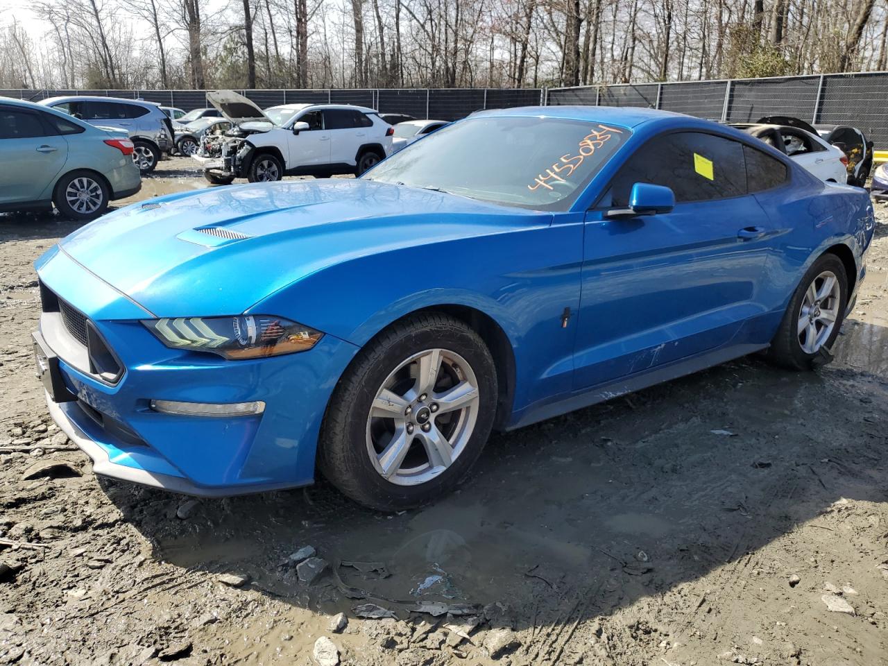 2019 ford mustang
