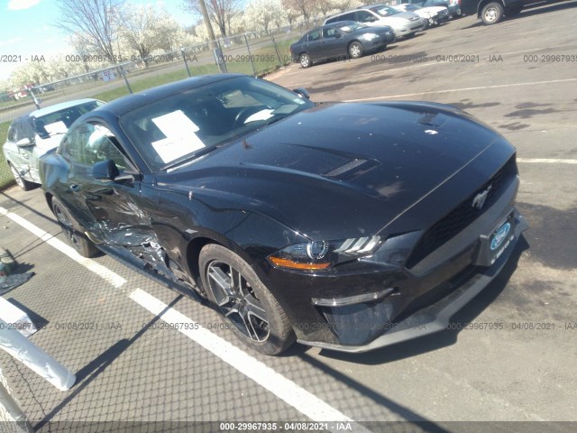 2019 ford mustang