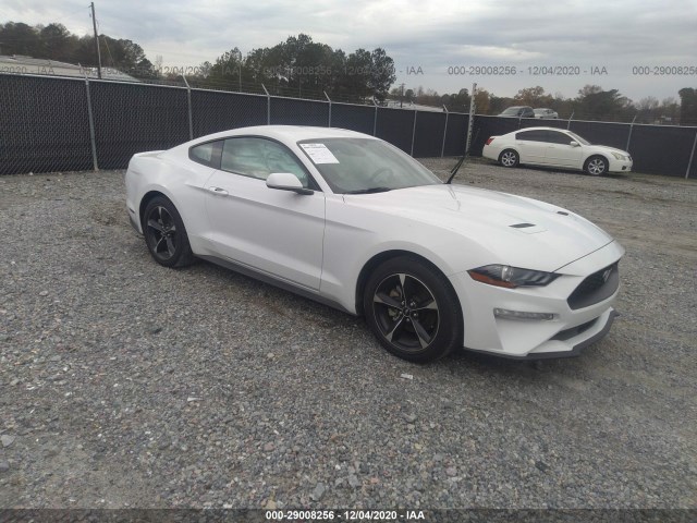 2019 ford mustang
