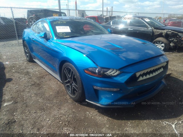 2019 ford mustang