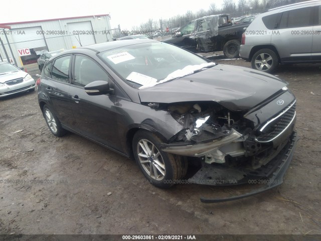2015 ford focus