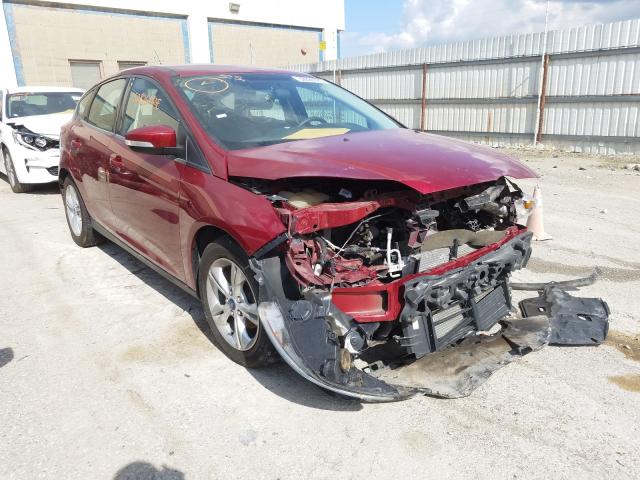2013 ford focus