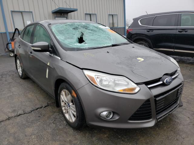 2011 ford focus sel