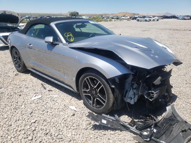 2019 ford mustang