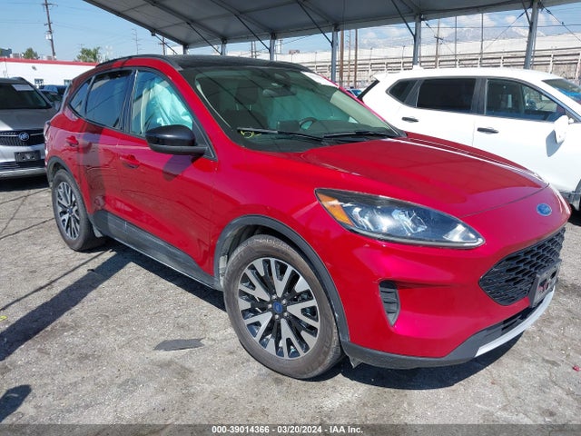 2019 ford escape