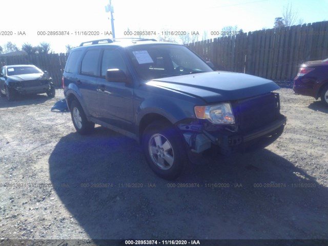 2010 ford escape