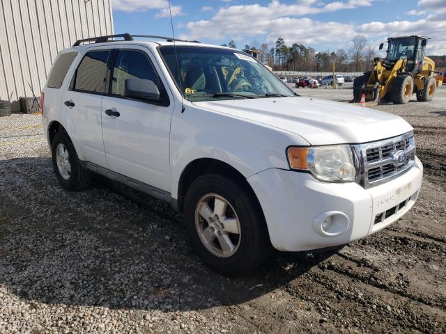 2009 ford escape xlt