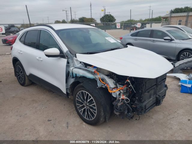 2023 FORD Escape