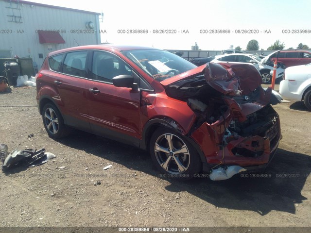 2014 ford escape