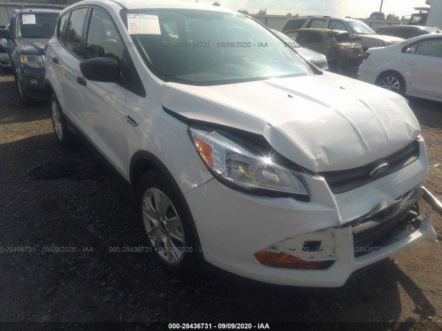 2013 ford escape