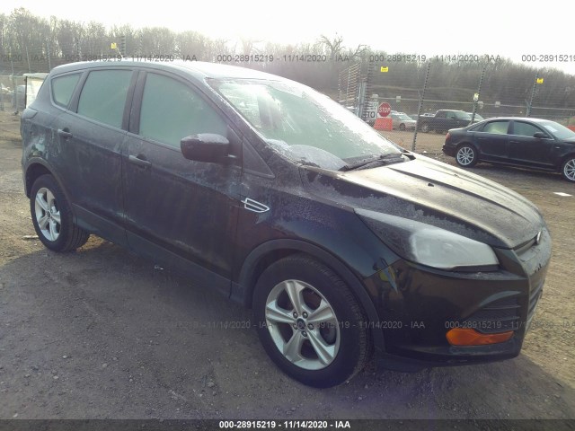 2014 ford escape