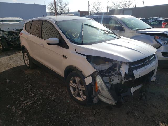 2015 ford escape se