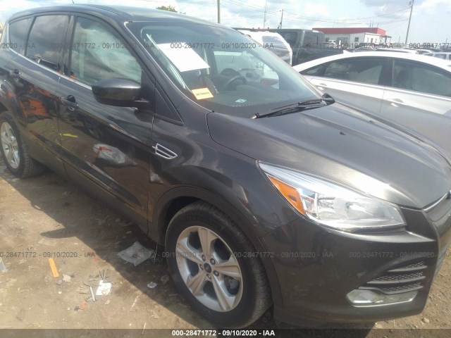 2015 ford escape