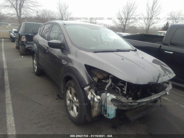 2015 ford escape