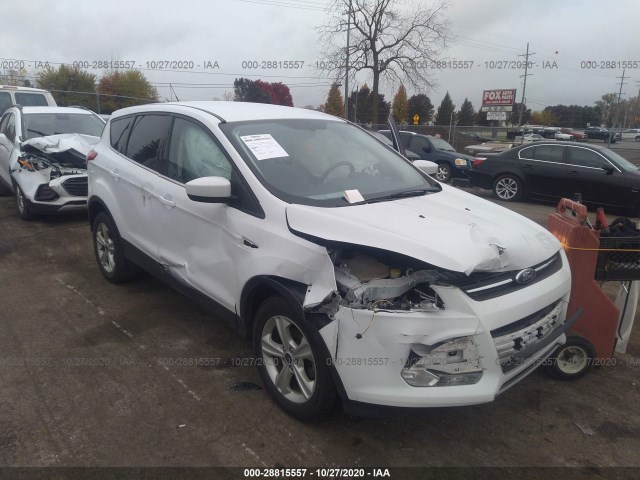 2015 ford escape