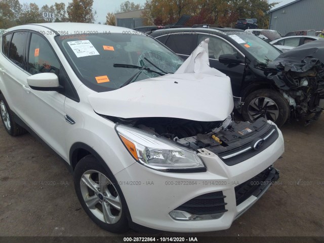 2015 ford escape