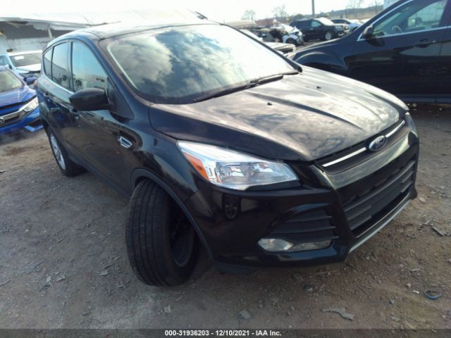 2014 ford escape