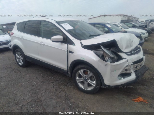 2014 ford escape
