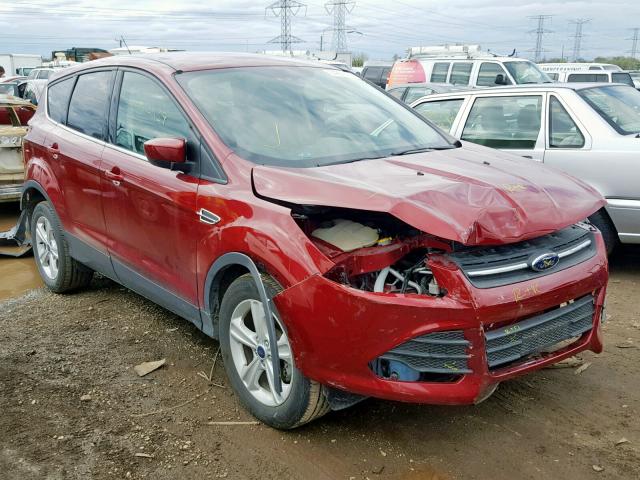 2014 ford escape