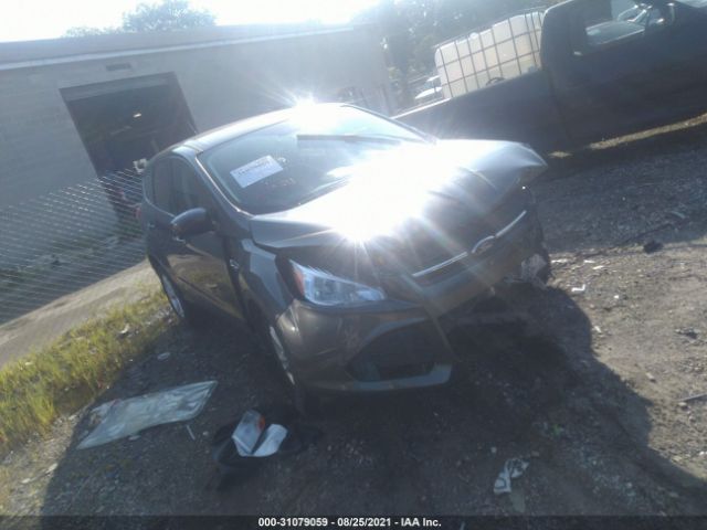 2015 ford escape