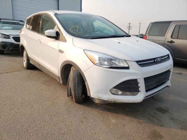 2016 ford escape