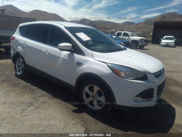 2014 ford escape