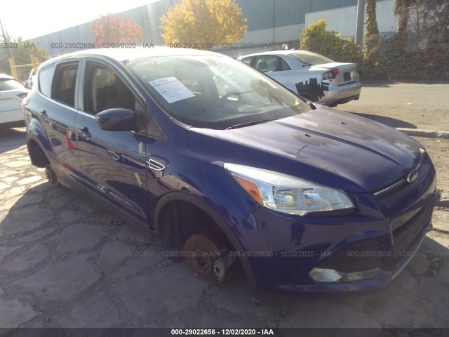 2014 ford escape