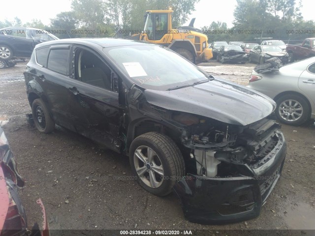 2012 ford escape