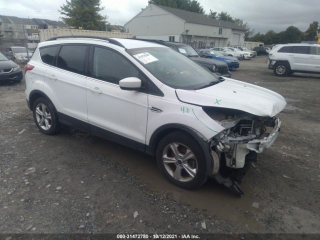 2014 ford escape