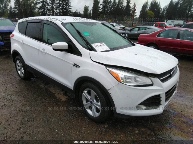 2014 ford escape