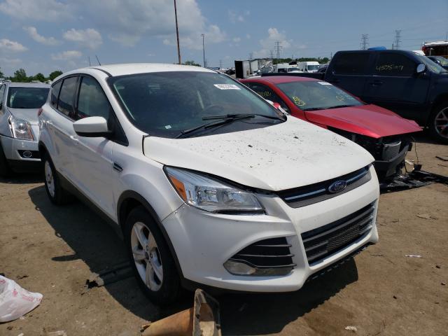 2014 ford escape se