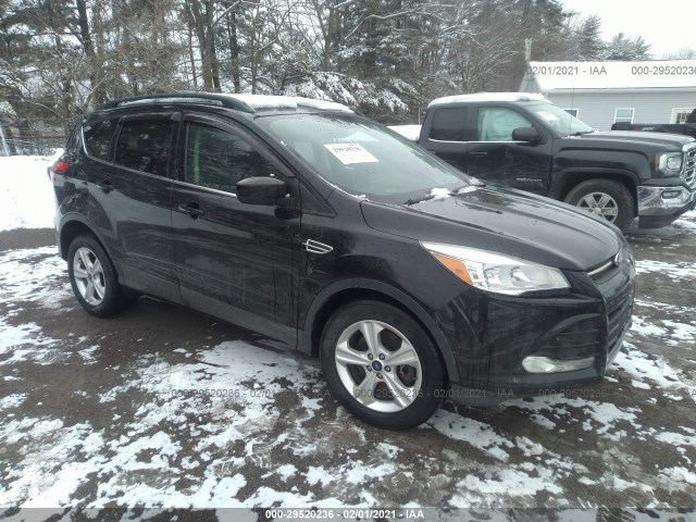 2015 ford escape