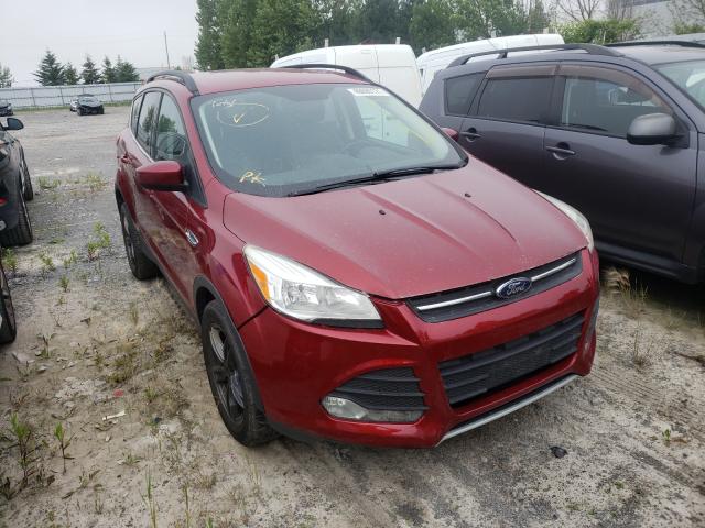 2013 ford escape
