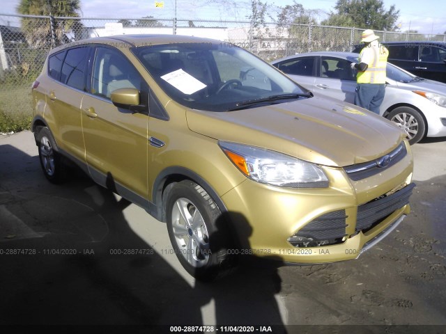 2014 ford escape