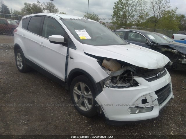 2014 ford escape