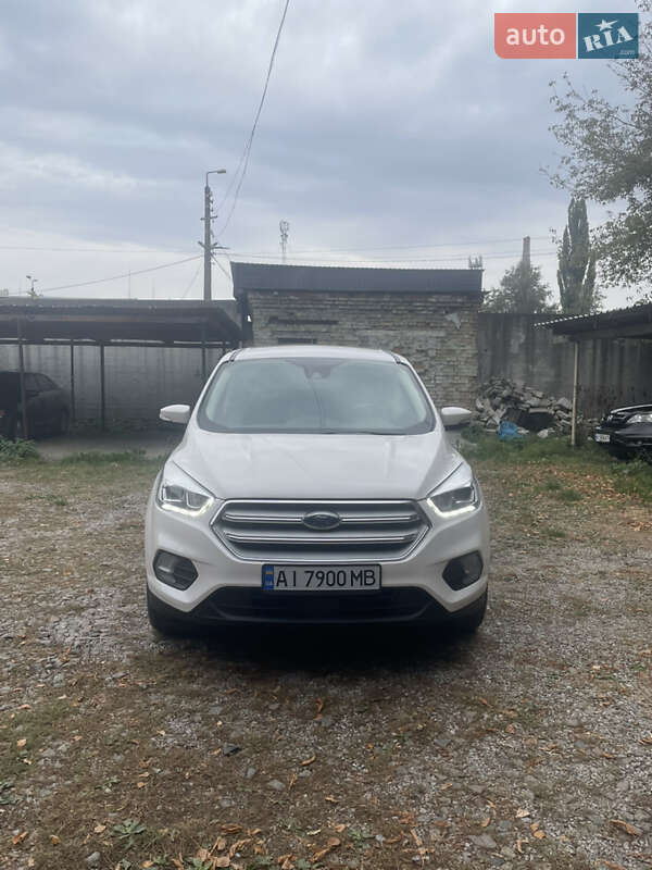 2019 ford escape