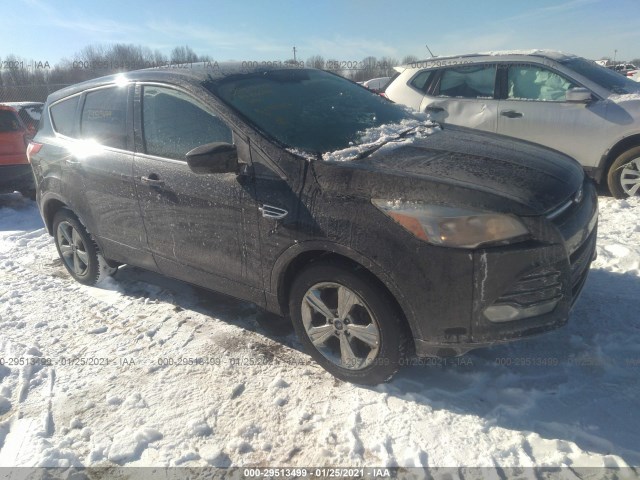2013 ford escape
