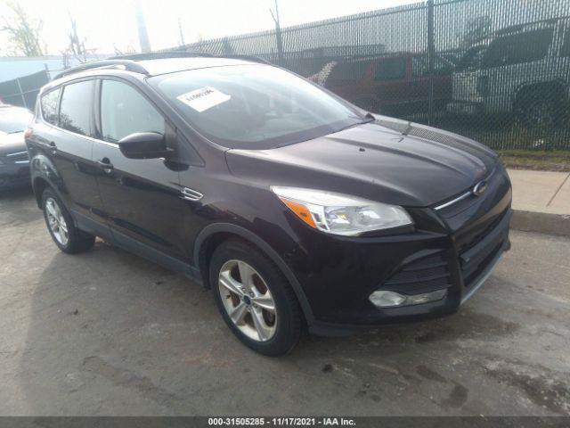 2013 ford escape
