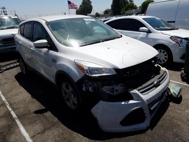 2014 ford escape se