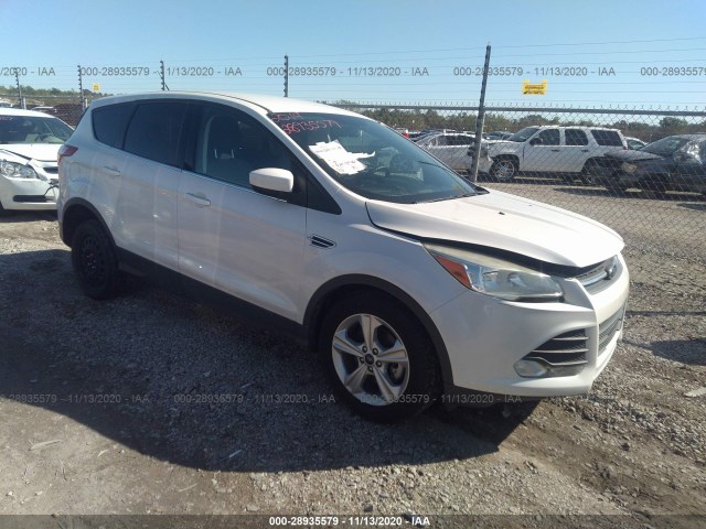 2014 ford escape