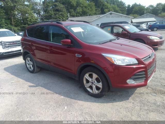 2013 ford escape