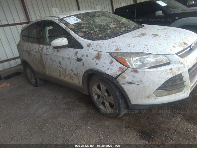 2014 ford escape