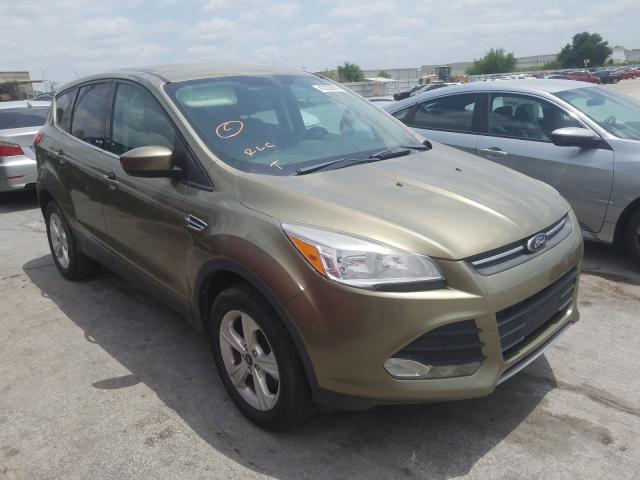2013 ford escape