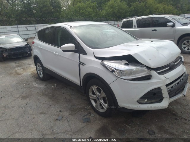 2013 ford escape