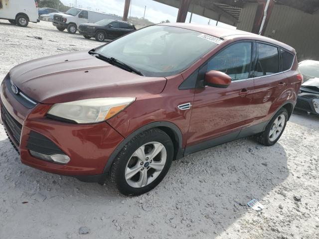 2014 ford escape