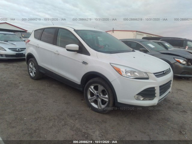 2013 ford escape