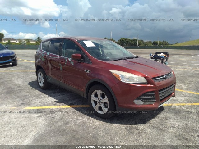 2013 ford escape